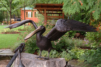 Pelican Bronze